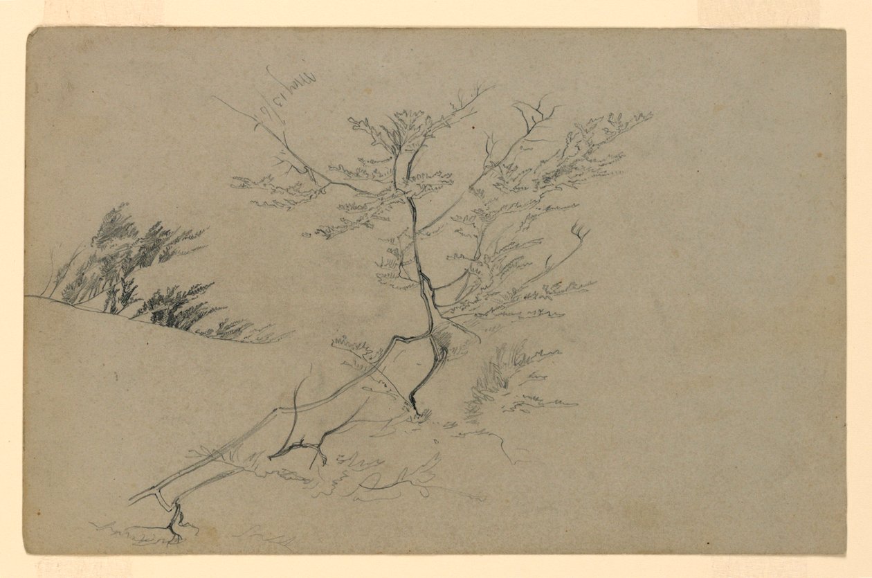 Studium listí od William Trost Richards