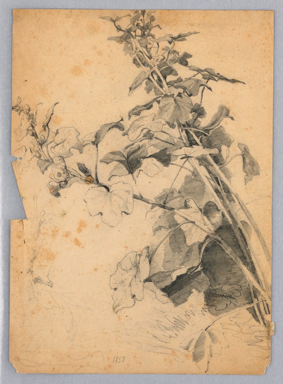 Studium listí od William Trost Richards