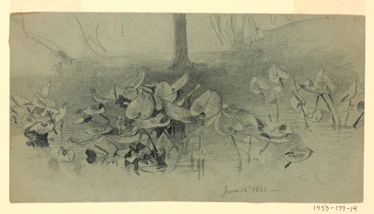 Studium listí od William Trost Richards