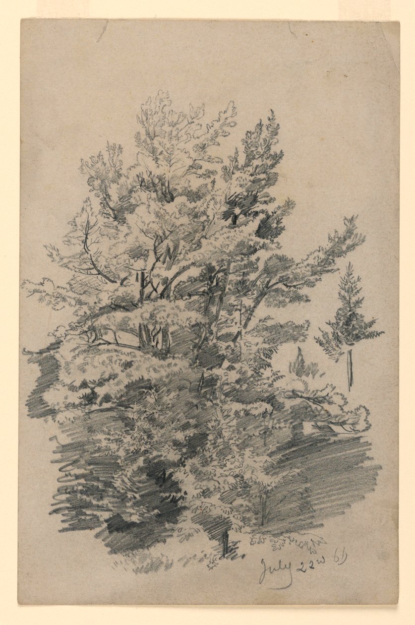 Studium listí od William Trost Richards
