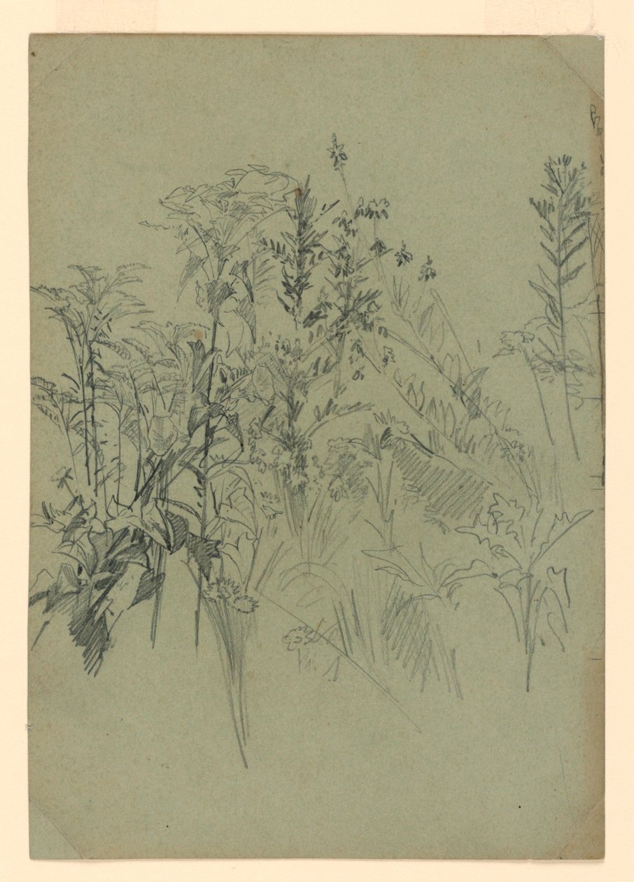 Studium listí od William Trost Richards