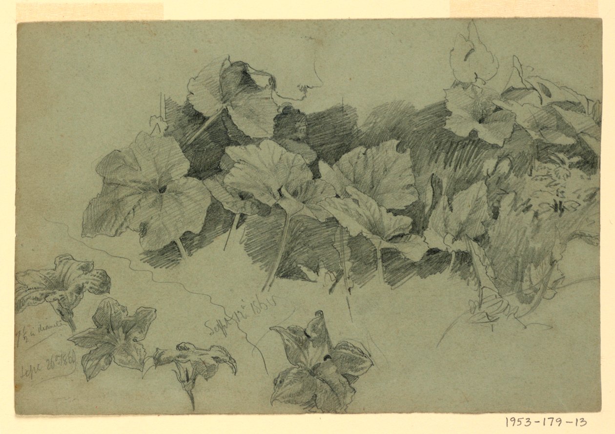 Studium listí od William Trost Richards