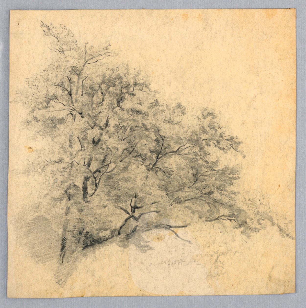 Studium listí od William Trost Richards