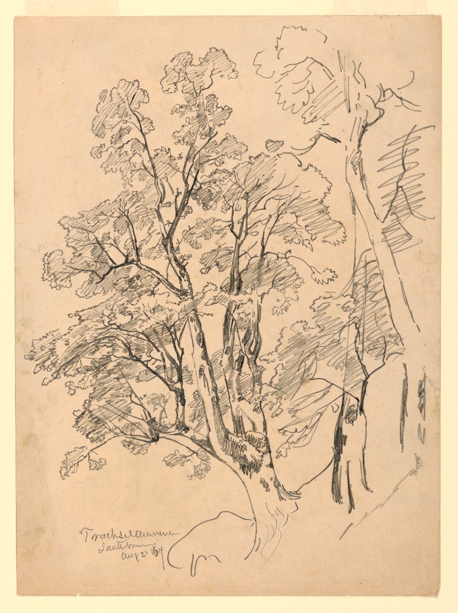 Studium listí, Trachselwald, Bern, Švýcarsko od William Trost Richards