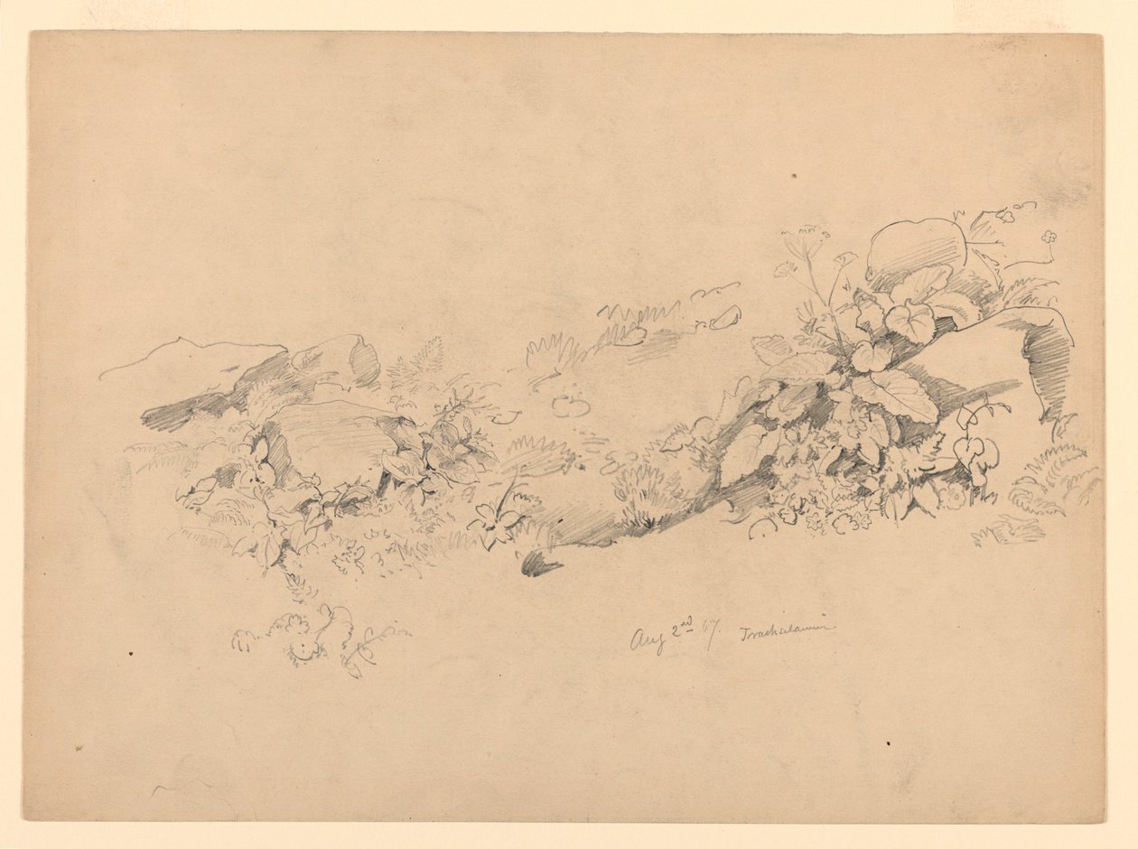Studium listí, Trachselwald, Bern, Švýcarsko od William Trost Richards
