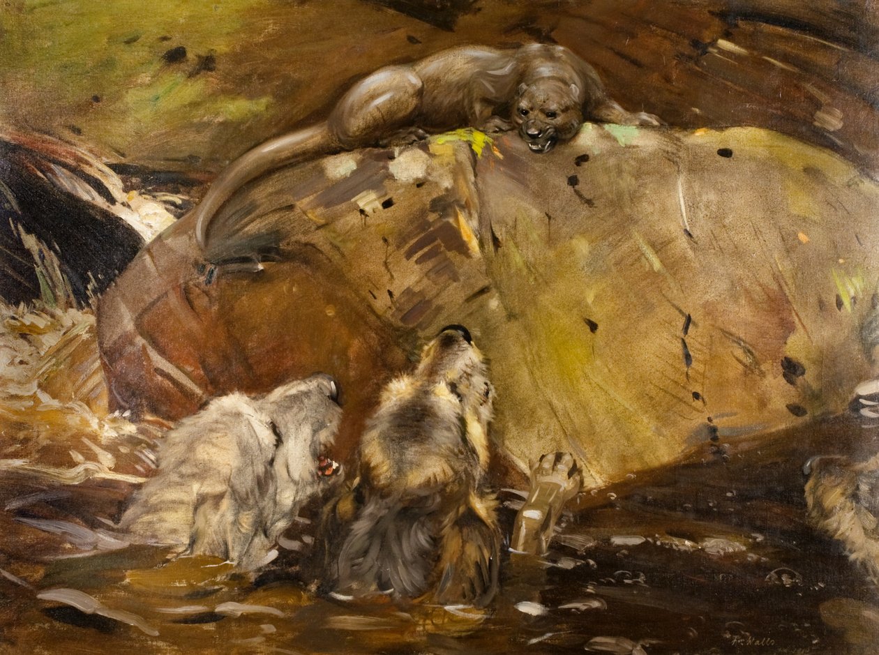 Mimo dosah od William Walls