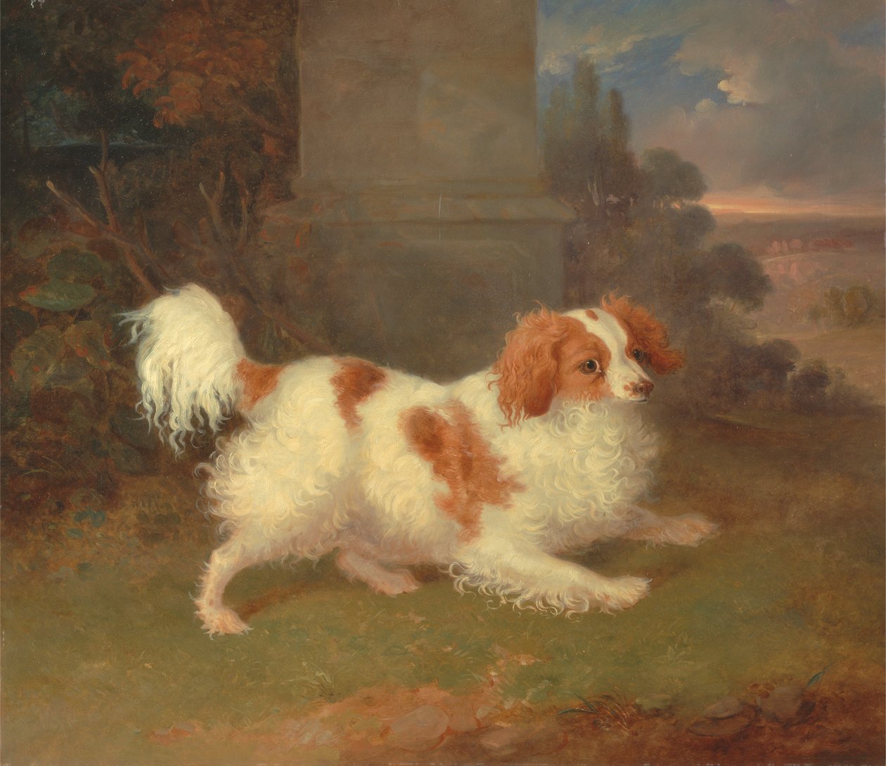 Blenheim španěl od William Webb