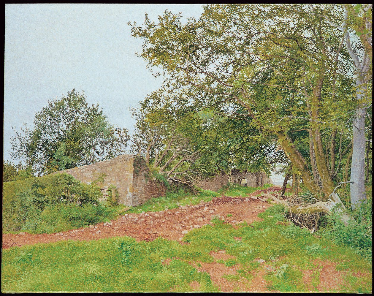 Caedenardd od William Wilkins