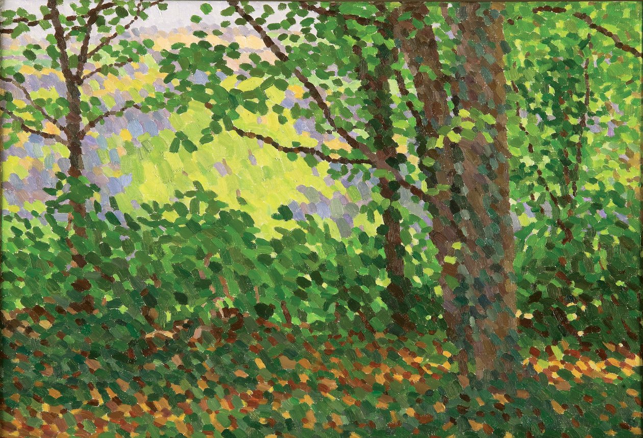 Zářijový večer 2010 (olej na plátně) od William Wilkins