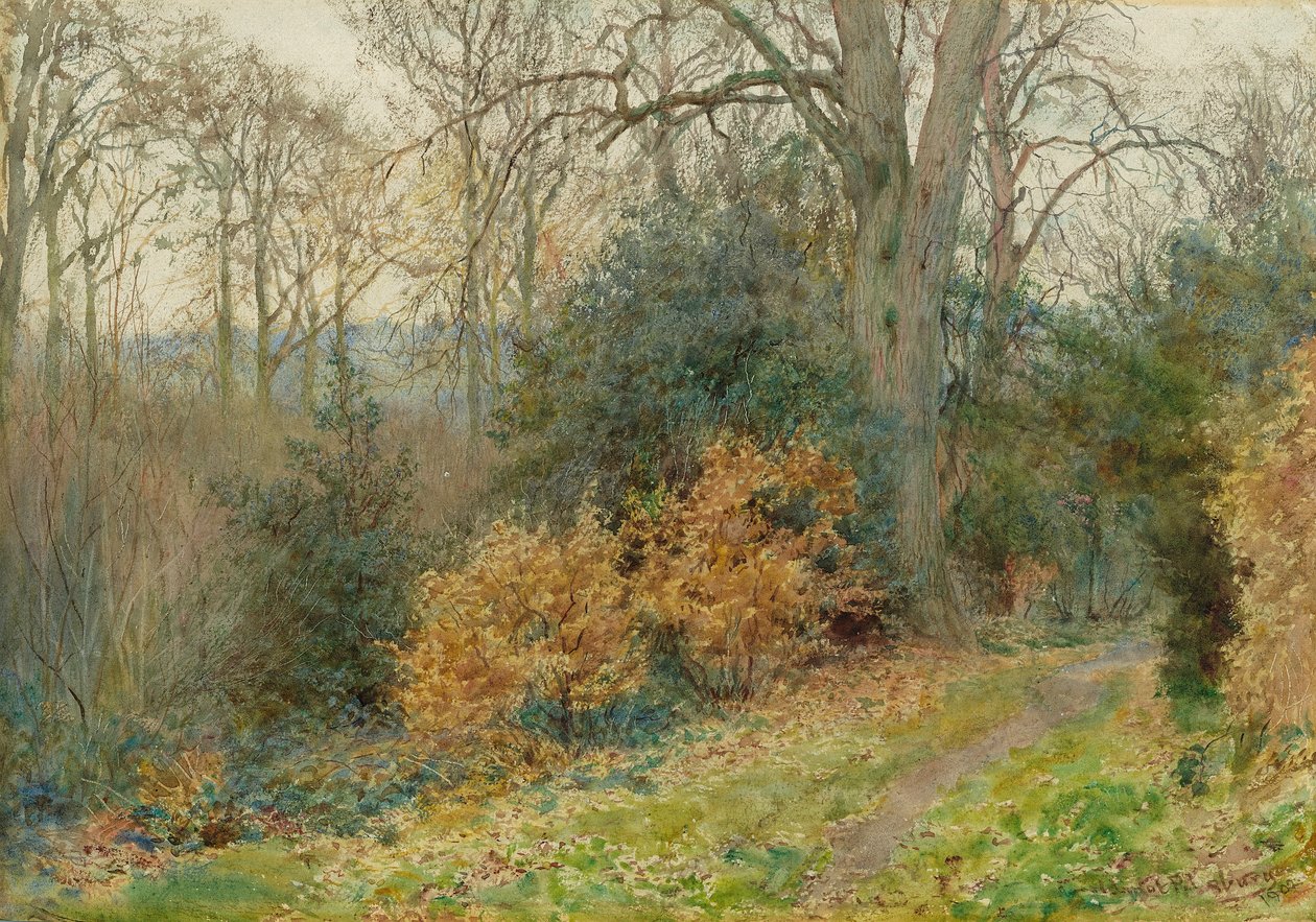 Cesta lesem, 1902 od Wilmot Pilsbury