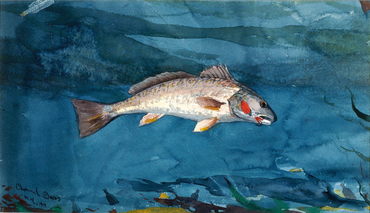 Channel Bass od Winslow Homer