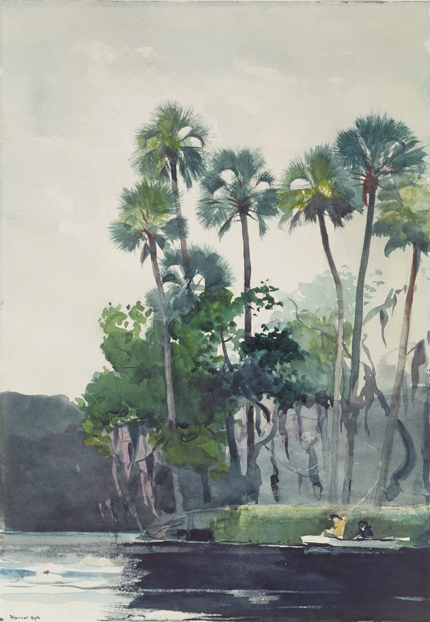 Řeka Homosassa, 1904 od Winslow Homer