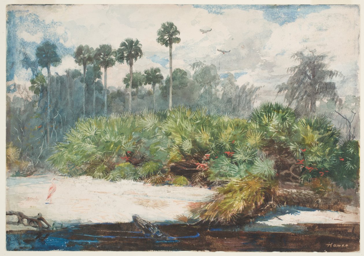 Ve floridské džungli (wc nad grafitem na papíře) od Winslow Homer