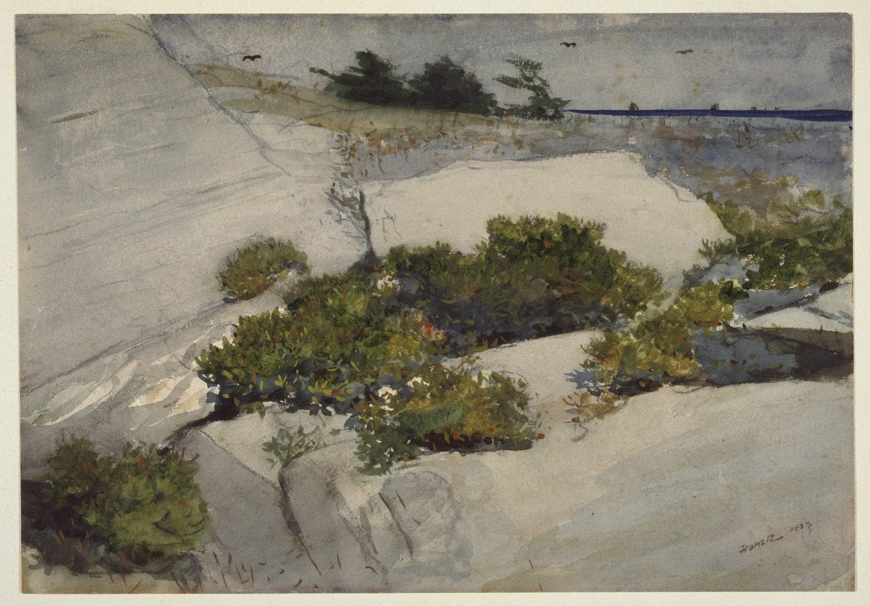 Maine Cliffs od Winslow Homer