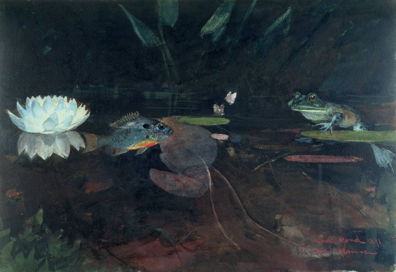 Mink Pond, 1891 (wc nad grafitem na papíře) od Winslow Homer