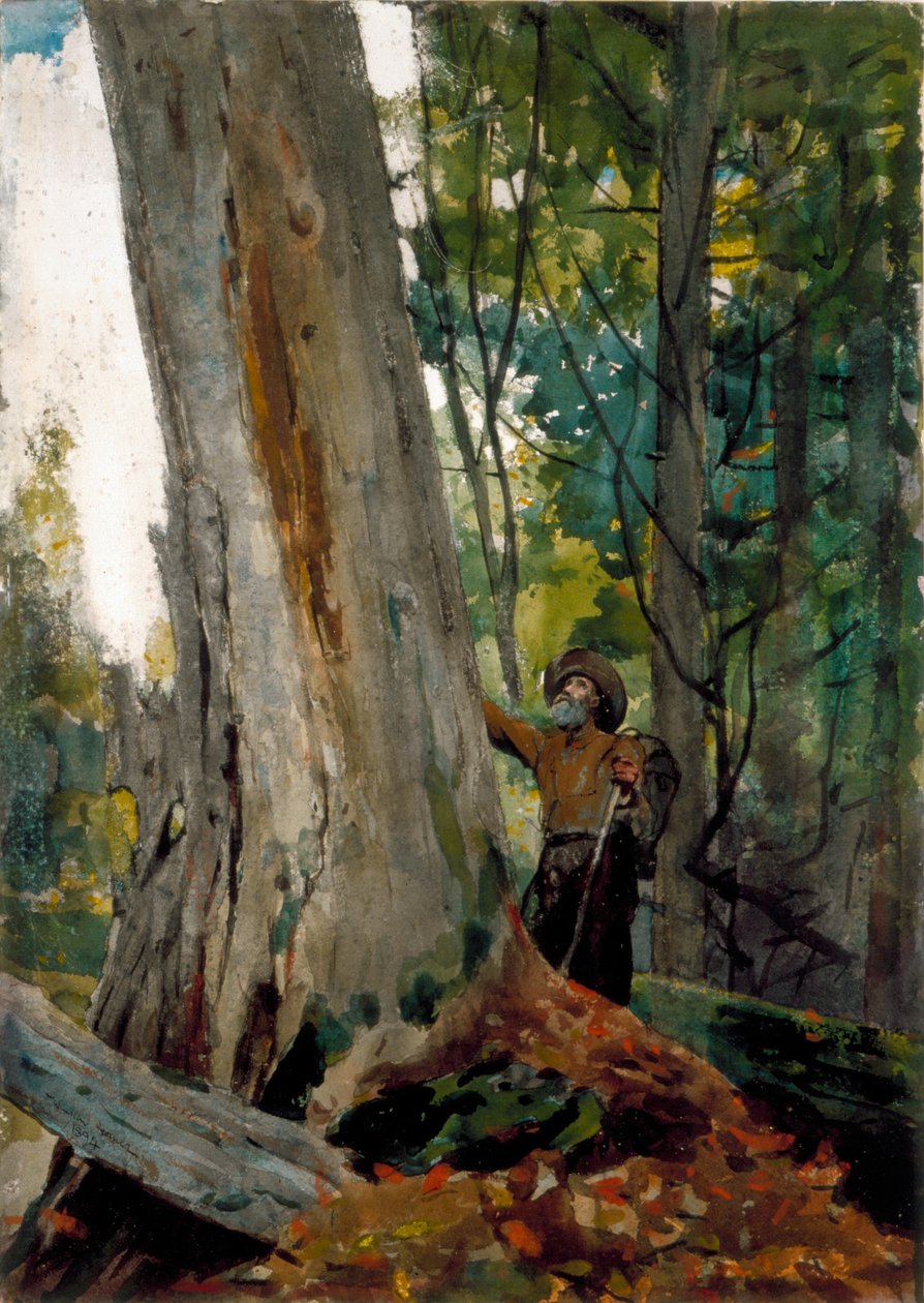 Staří přátelé, 1894 (wc nad tužkou na papíře) od Winslow Homer