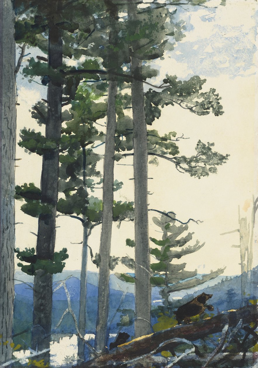 Staří osadníci od Winslow Homer