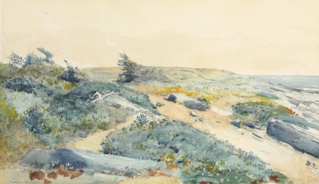 Prouts krk od Winslow Homer