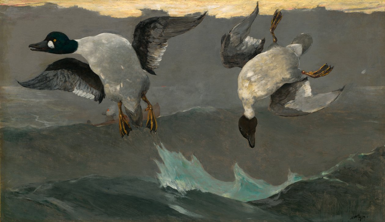 Pravá a levá od Winslow Homer