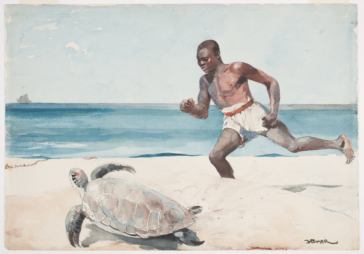 Rum Cay (wc přes grafit na papíře) od Winslow Homer