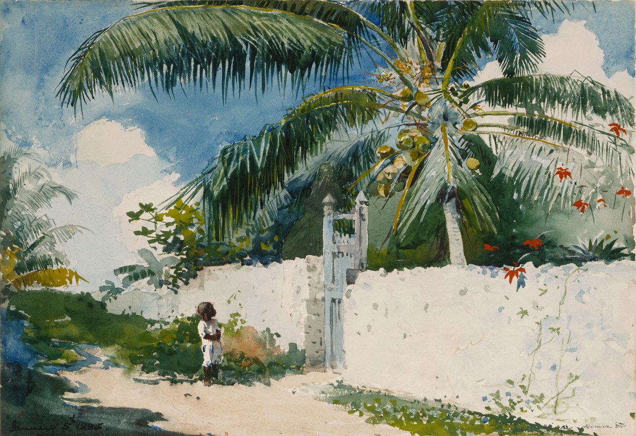 Zahrada v Nassau od Winslow Homer