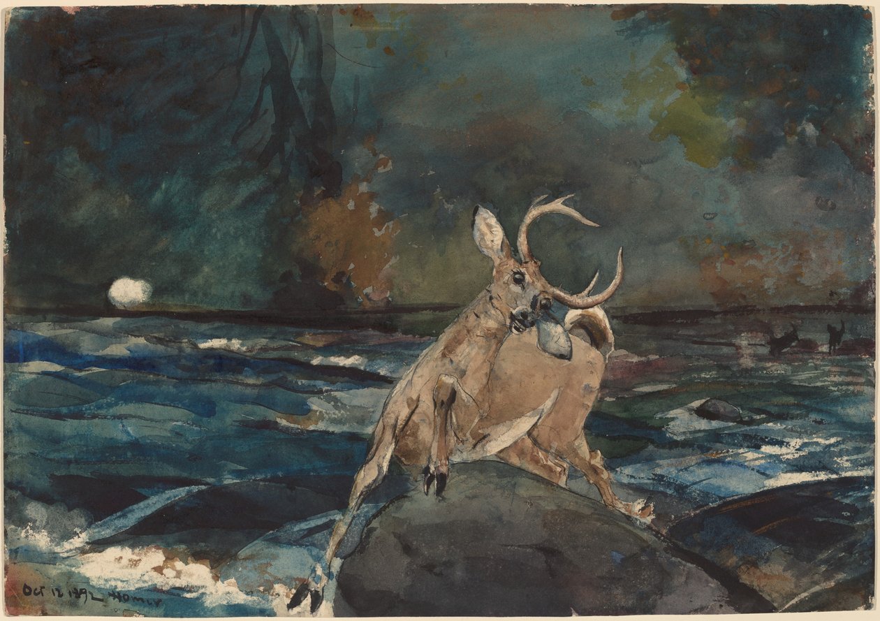 Dobrá trefa, Adirondacks od Winslow Homer