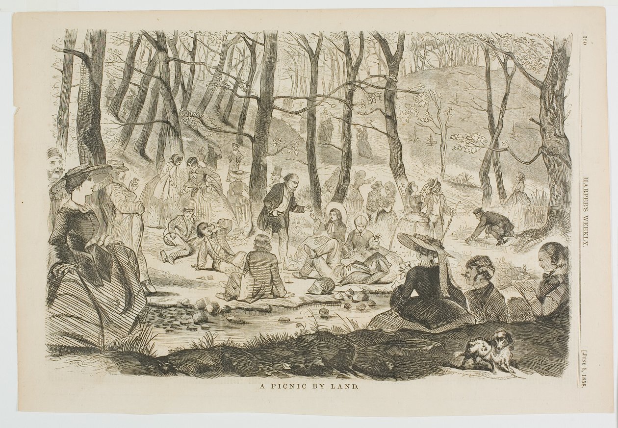 Piknik po zemi od Winslow Homer
