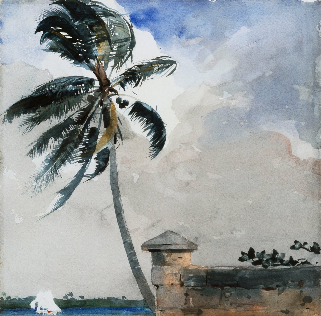 Tropický vánek, Nassau, 1889-90 od Winslow Homer