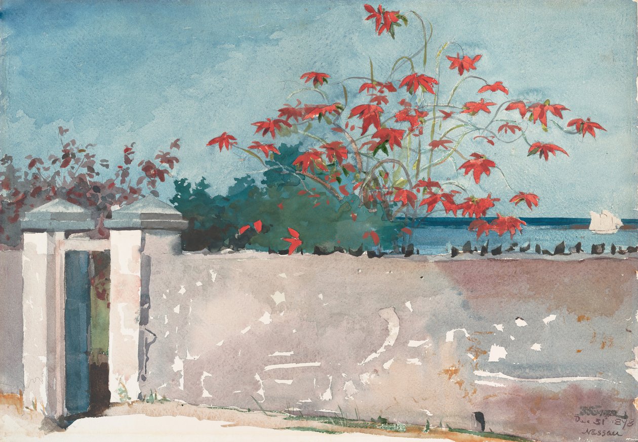 A Wall, Nassau, 1898. od Winslow Homer