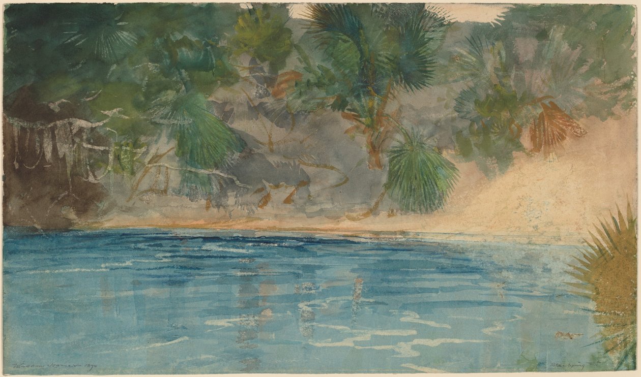 Blue Spring, Florida od Winslow Homer