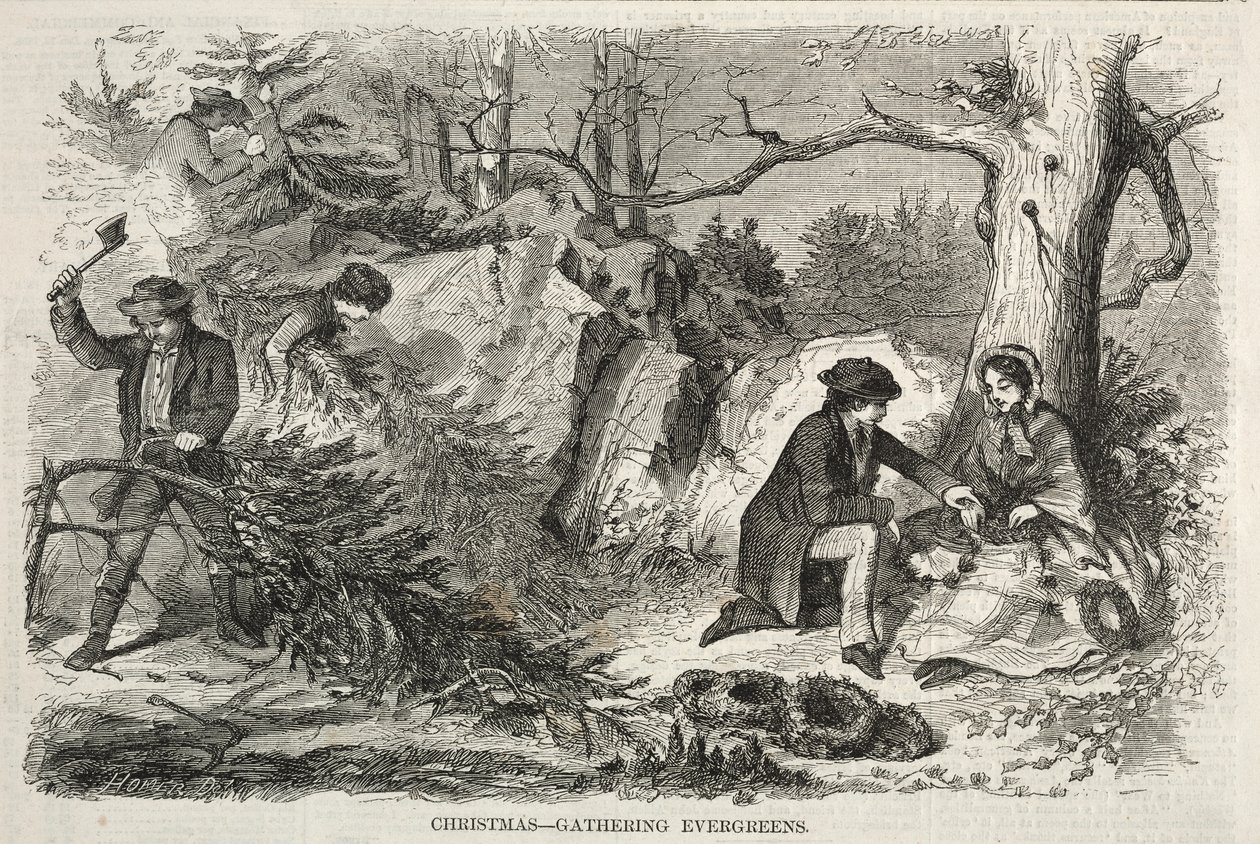 Vánoce – Shromáždění evergreenů, 1858. od Winslow Homer