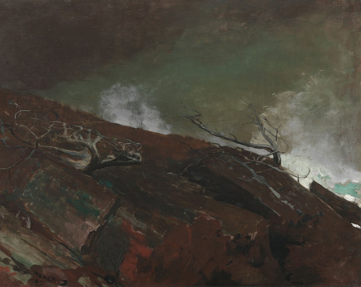 Pobřeží státu Maine od Winslow Homer