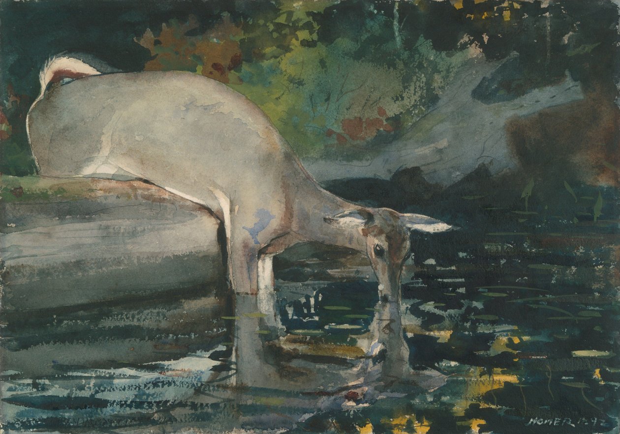 Pití jelenů od Winslow Homer