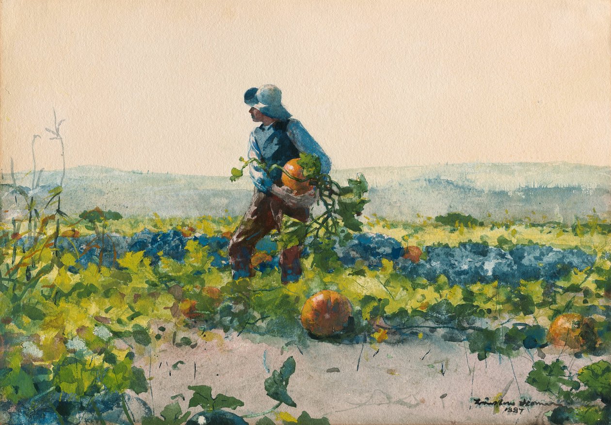 Jak se stát farmářským chlapcem od Winslow Homer