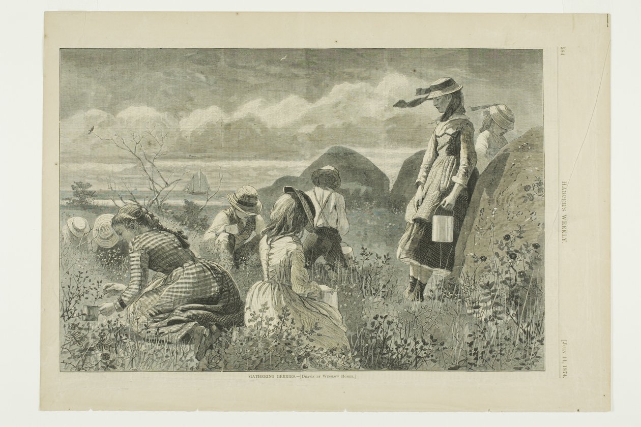 Sbírání bobulí od Winslow Homer