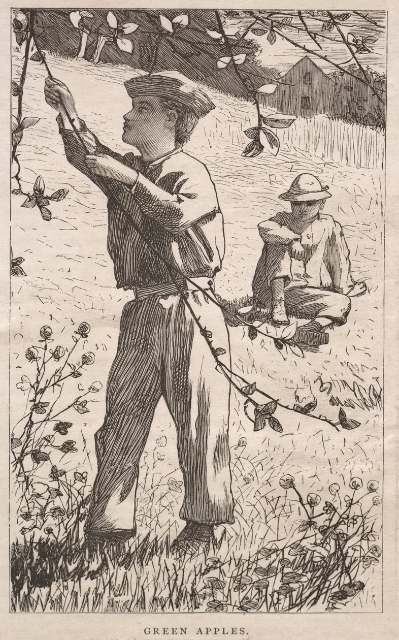 Zelená jablka, 1868. od Winslow Homer