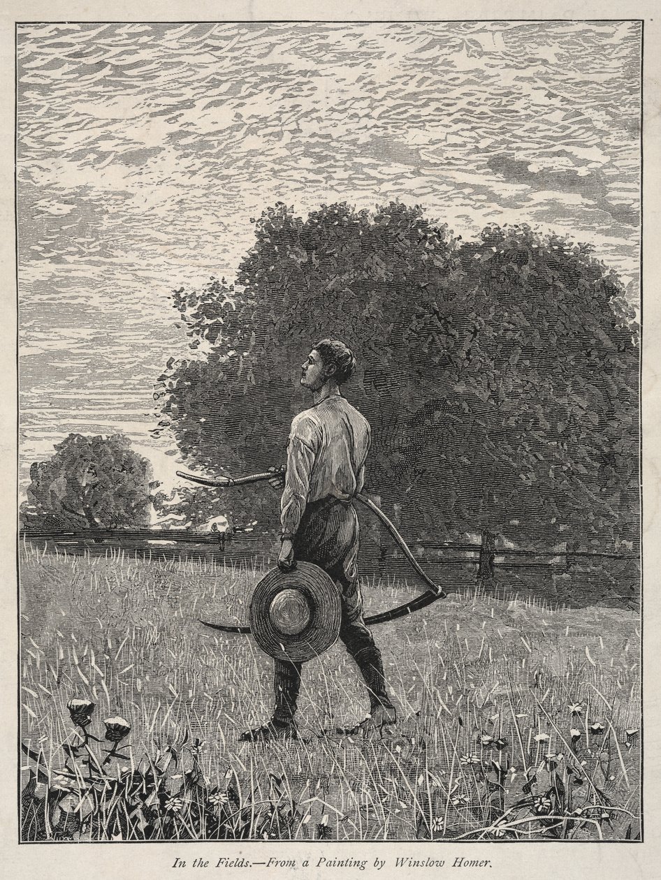 V polích, na polích. od Winslow Homer