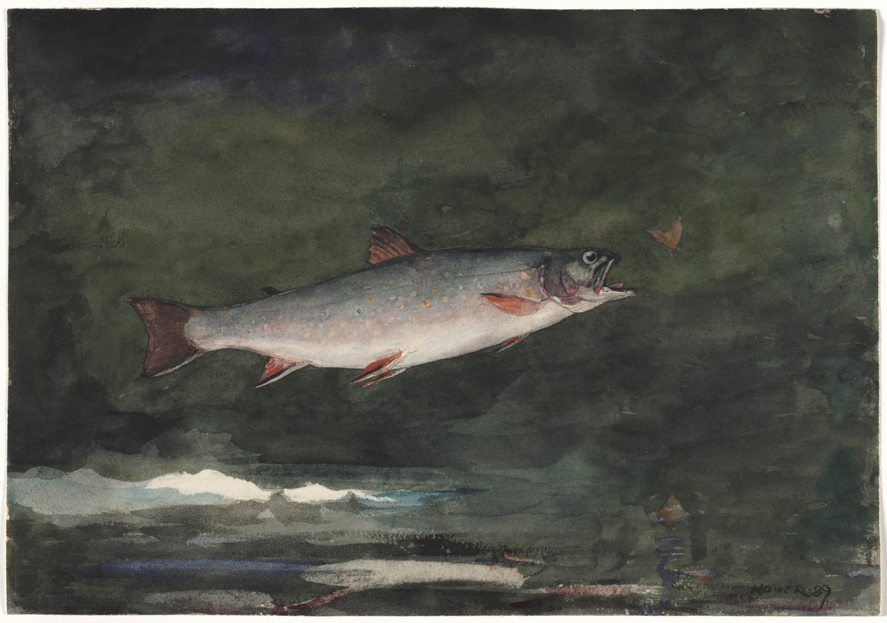 Pstruh skákavý, 1889. od Winslow Homer