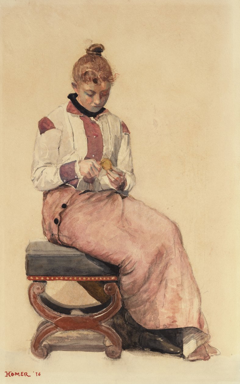 Citron, 1876 od Winslow Homer