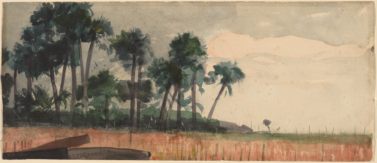 Palmy, červené, 1890. od Winslow Homer