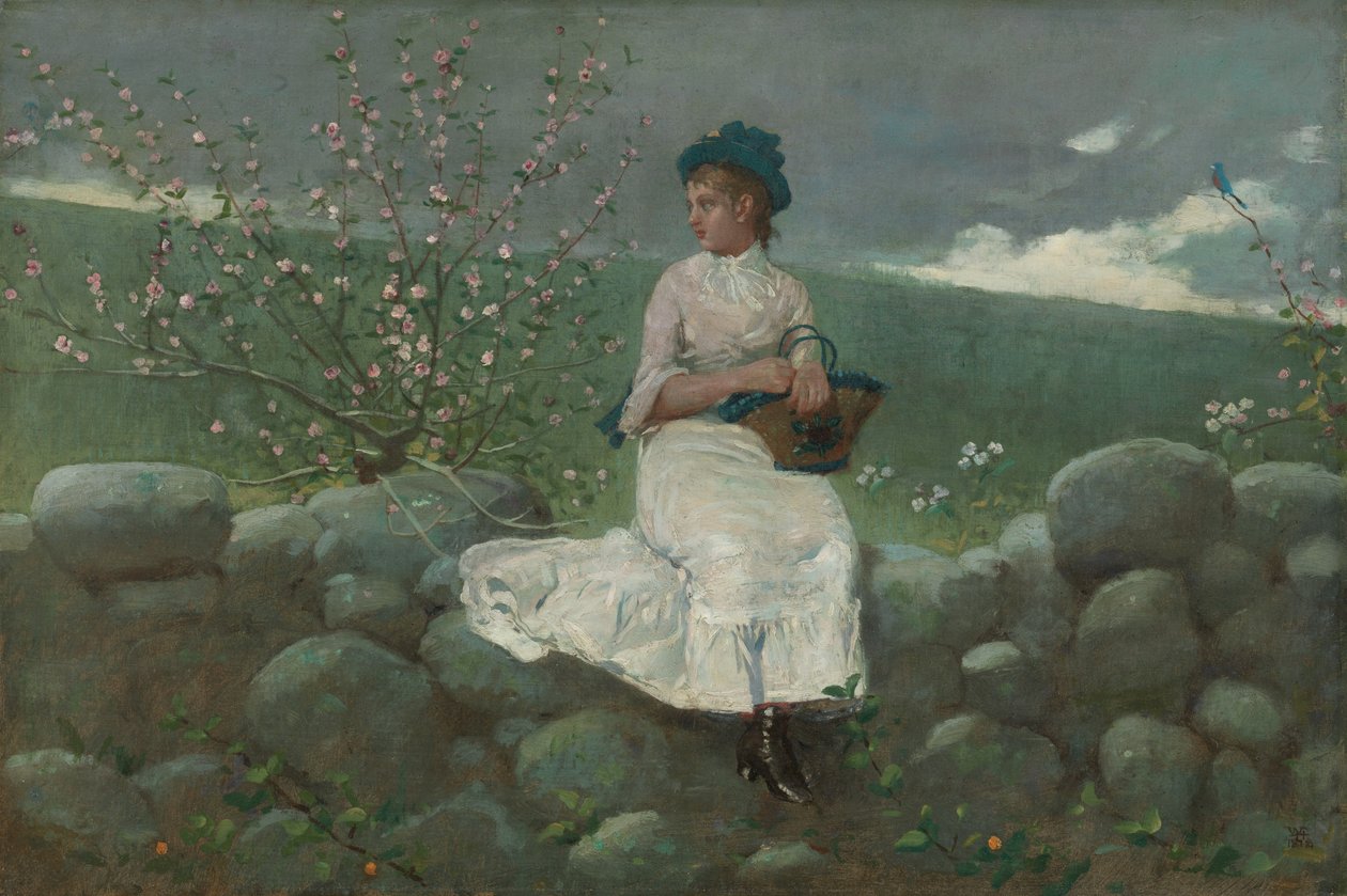 Broskvové květy, 1878. od Winslow Homer