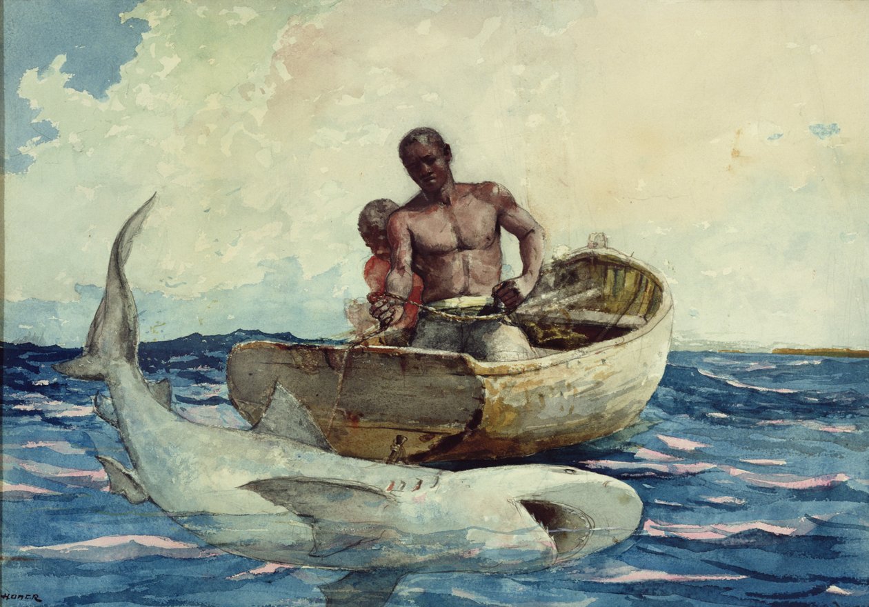 Lov žraloků, 1885 od Winslow Homer