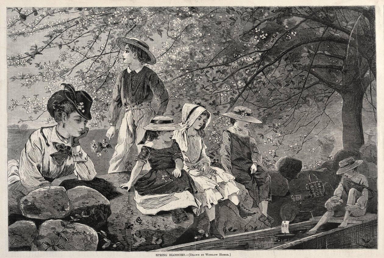 Jarní květy, 1870. od Winslow Homer