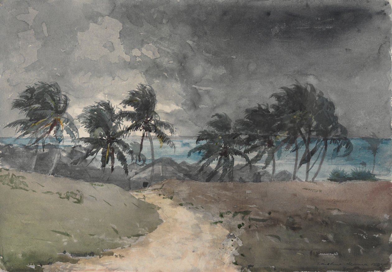 Bouře, Bahamy od Winslow Homer