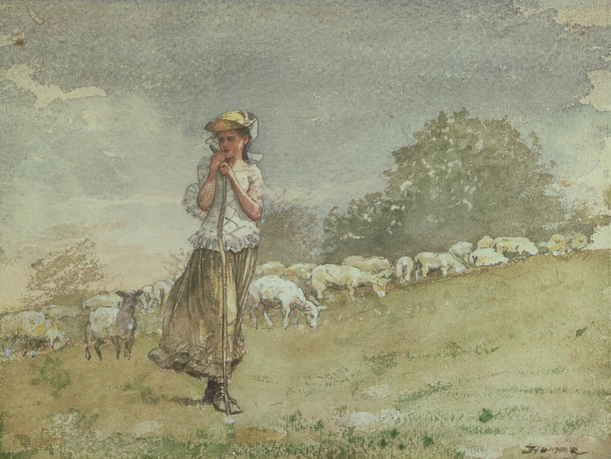 Péče o ovce, farma Houghton, kolem 1878-79 od Winslow Homer