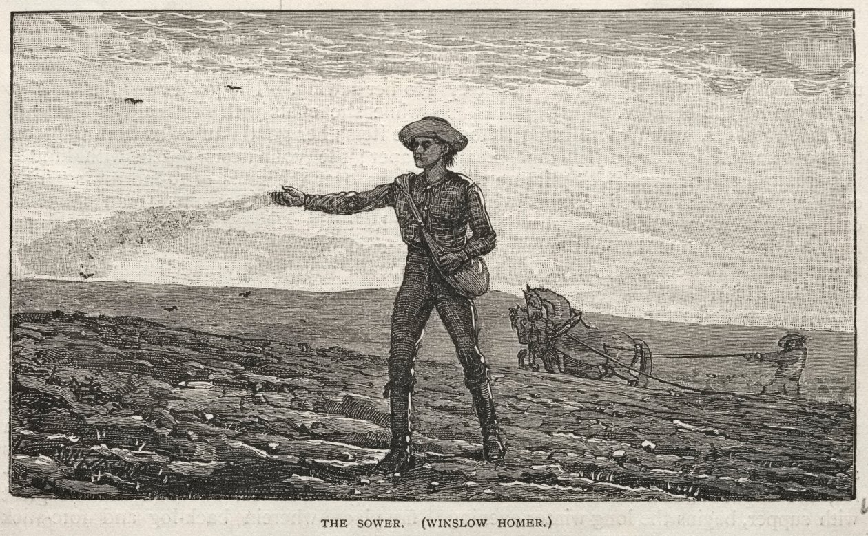 Rozsévač od Winslow Homer