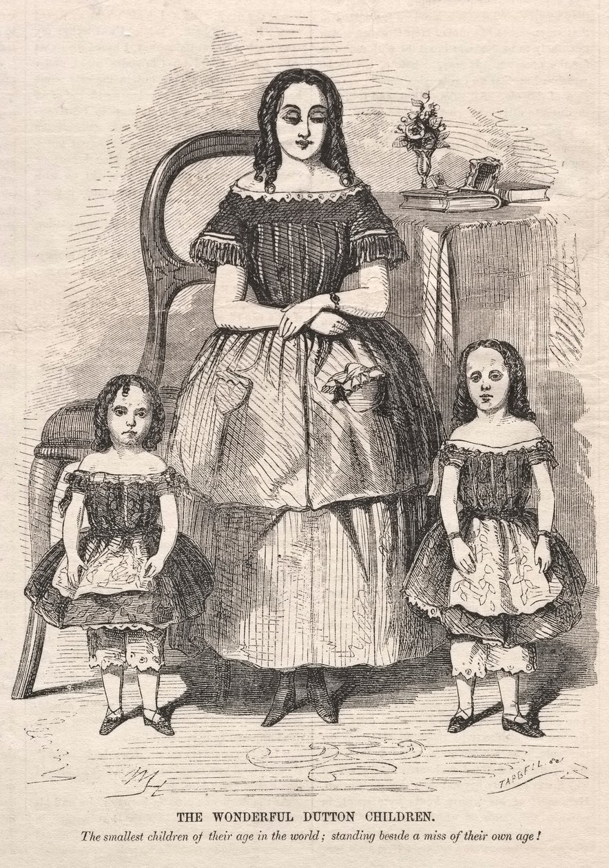 The Wonderful Dutton Children, 1859. od Winslow Homer