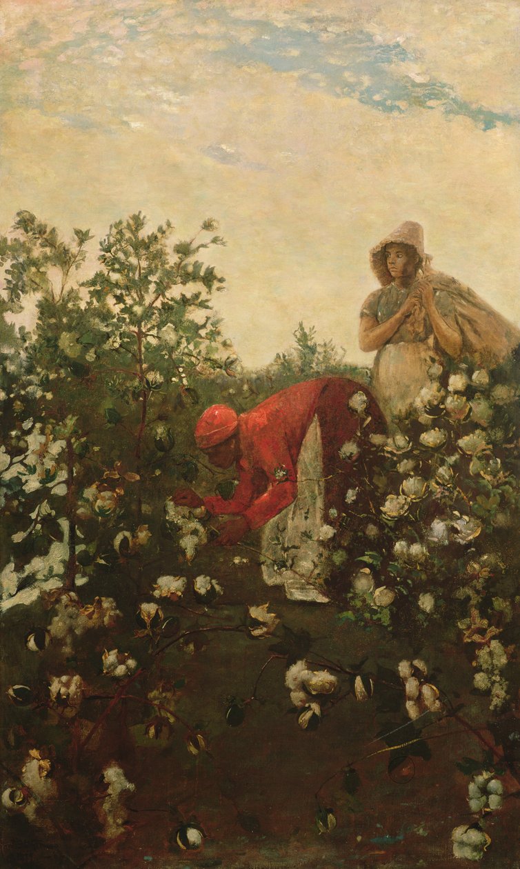 Horská bavlna, 1875 od Winslow Homer