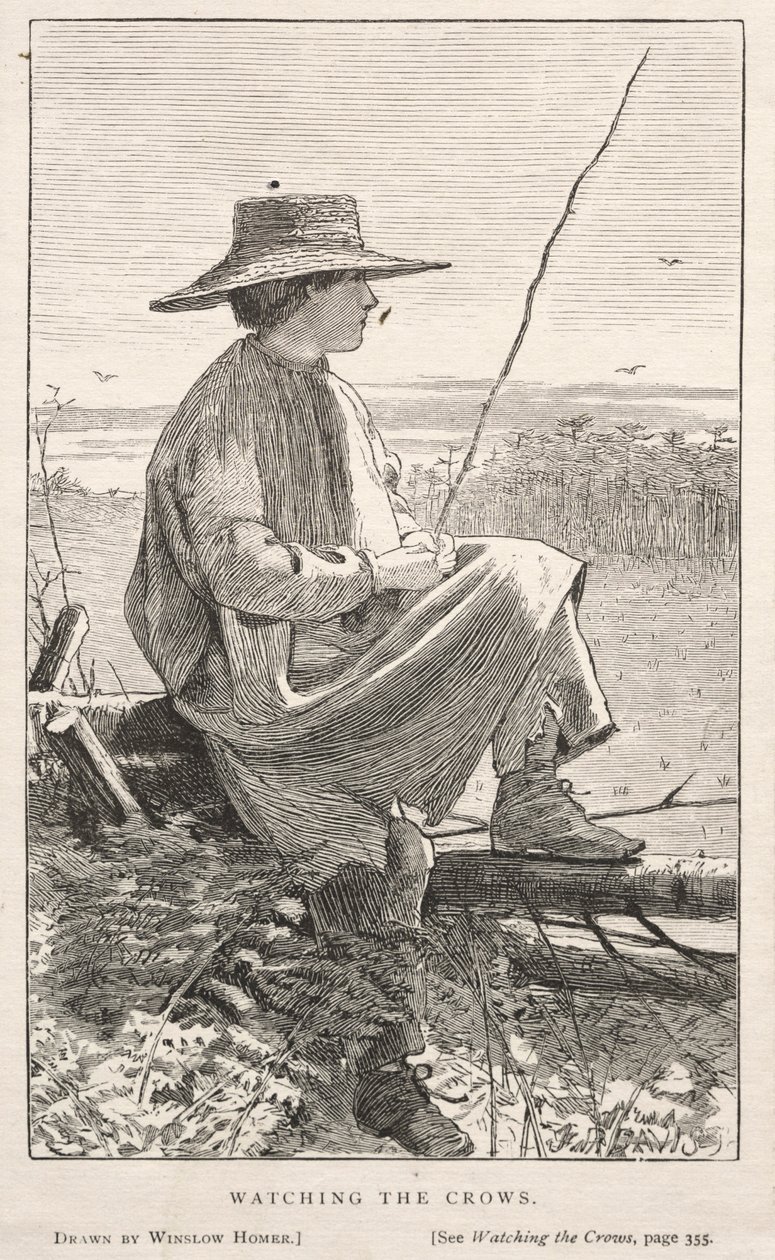 Pozorování vran od Winslow Homer