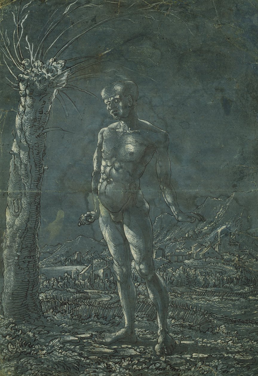 Stojící nahý muž v krajině, cca 1512 (pero a černý inkoust s bílým zvýrazněním na papíře) od Wolf Huber